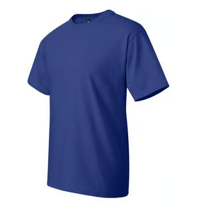 Upgrade to Hanes 518T Beefy-T Tall
