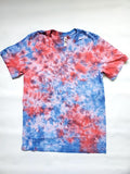 BC-USA-TS 3001