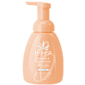 Hempz Apricot & Clementine Hand Wash